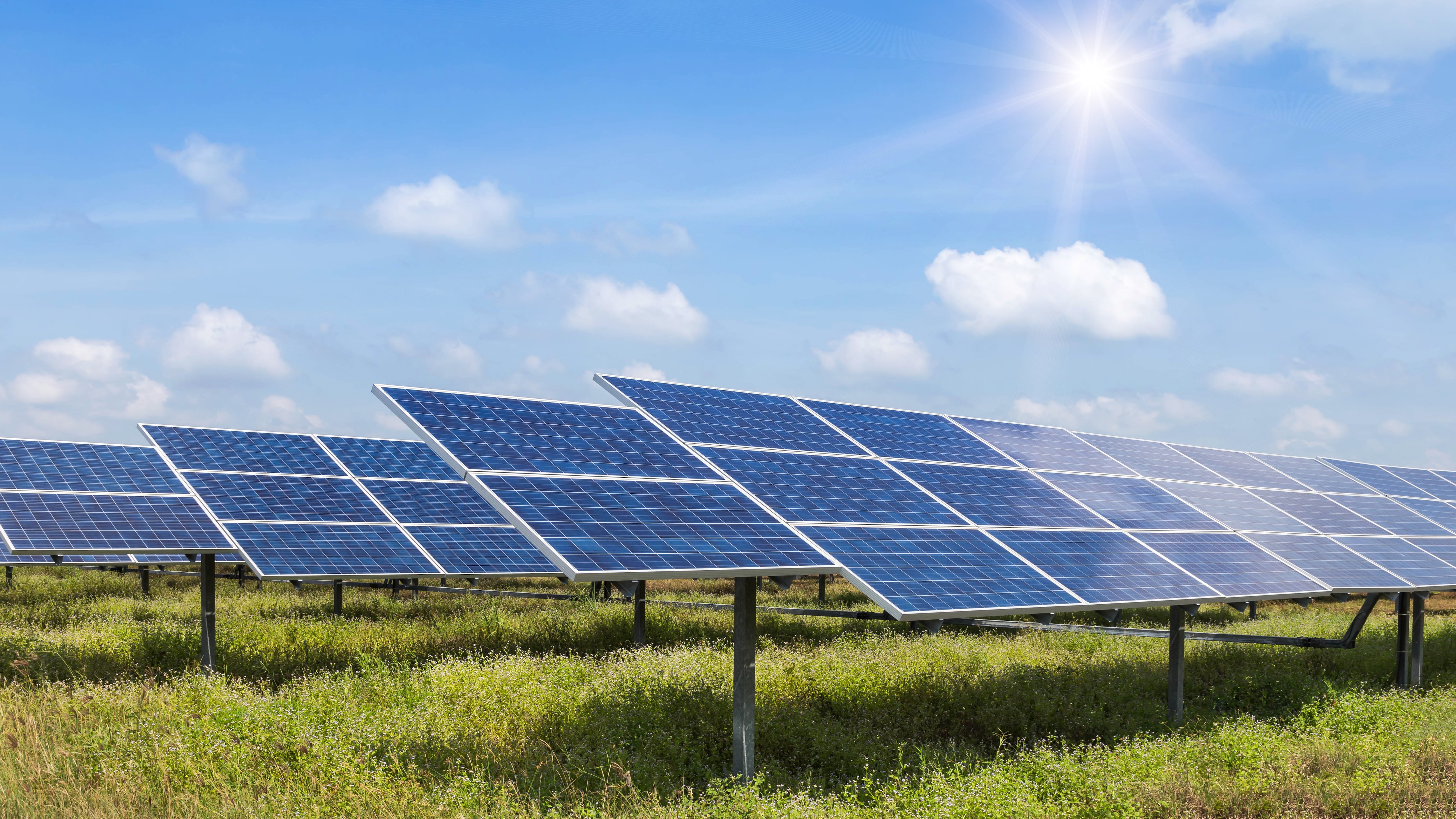 Energea Acquires 1.3-MW Pains Solar Project in Brazil